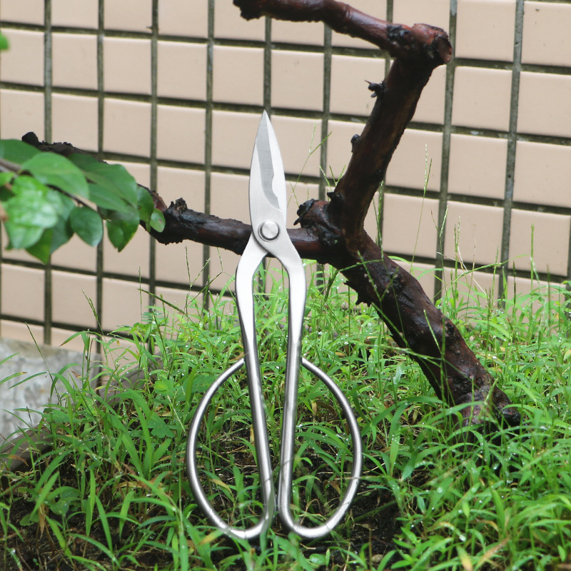Gardening Tools Japanese - オールスチール製の園芸用鋏、葉、芽、花用鋏、家庭用花盆栽鋏、葉、葉芽鋏