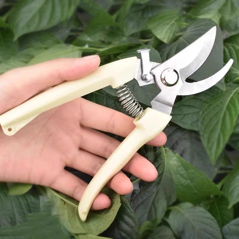 果樹剪定用電動剪定鋏、省力型園芸枝切り機、頑丈な家庭用植物剪 - Gardening Tools Pink のレビューと価格
