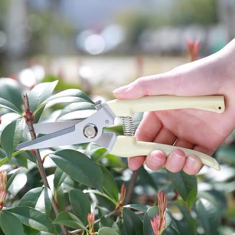 果樹剪定用電動剪定鋏、省力型園芸枝切り機、頑丈な家庭用植物剪 - Gardening Tools Pink のレビューと価格