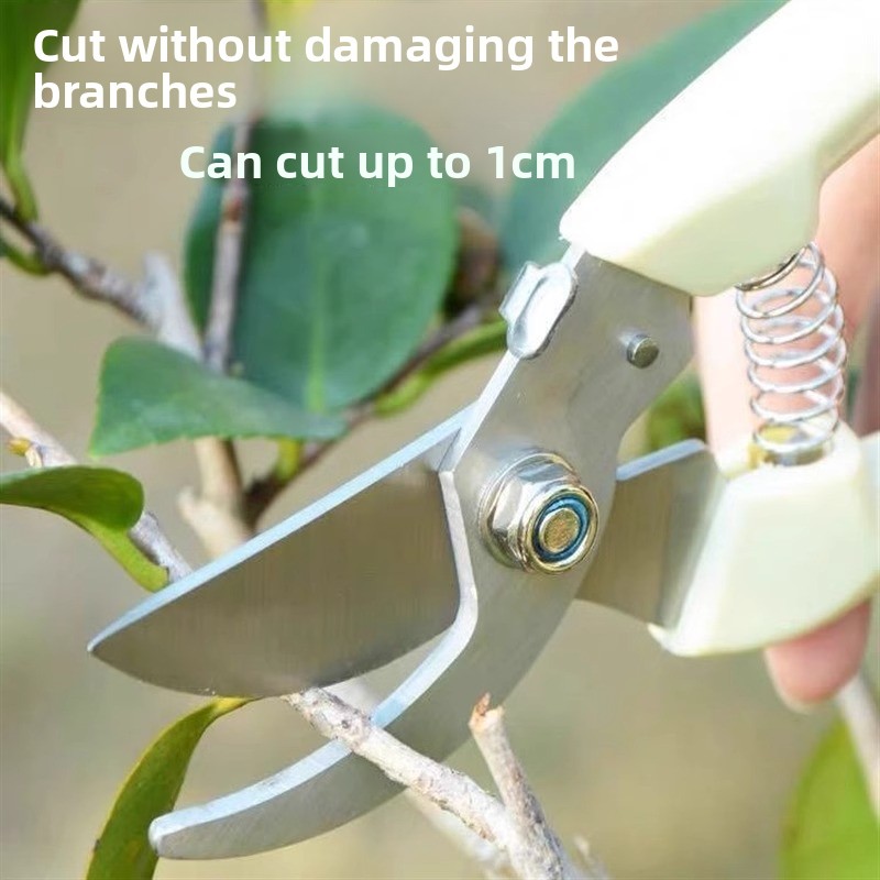 果樹剪定用電動剪定鋏、省力型園芸枝切り機、頑丈な家庭用植物剪 - Gardening Tools Pink のレビューと価格