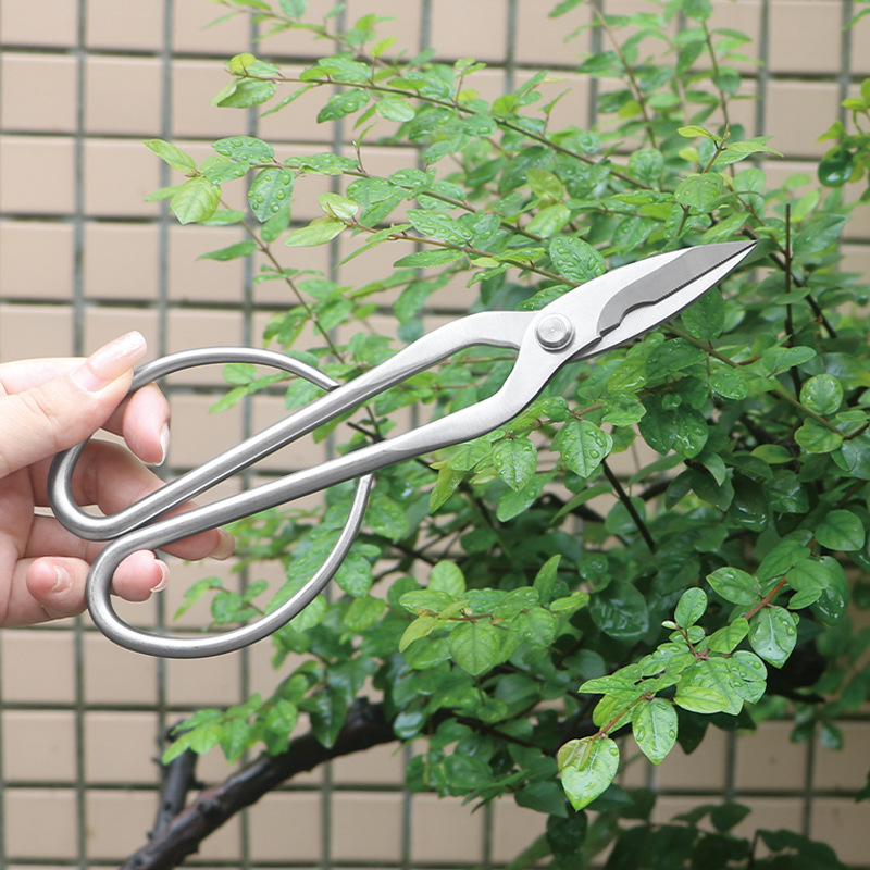 オールスチール製の園芸用鋏、葉、芽、花用鋏、家庭用花盆栽鋏、 - Gardening Tools Japanese のレビューと価格
