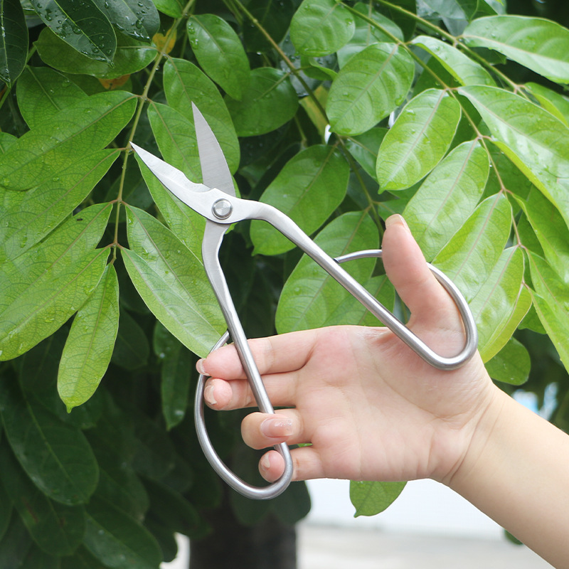 オールスチール製の園芸用鋏、葉、芽、花用鋏、家庭用花盆栽鋏、 - Gardening Tools Japanese のレビューと価格