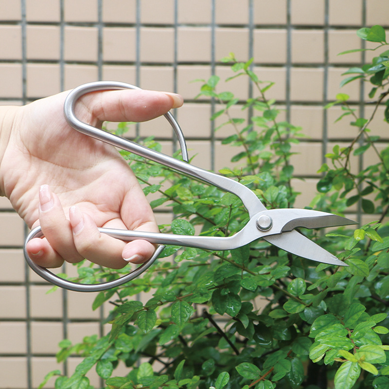 オールスチール製の園芸用鋏、葉、芽、花用鋏、家庭用花盆栽鋏、 - Gardening Tools Japanese のレビューと価格