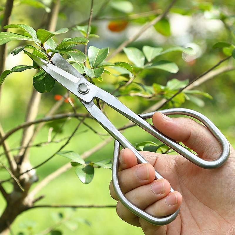 柔らかい葉用ハサミ 盆栽道具 枝切りハサミ 延長ステンレス鋼 - Gardening Tools Japanese のレビューと価格