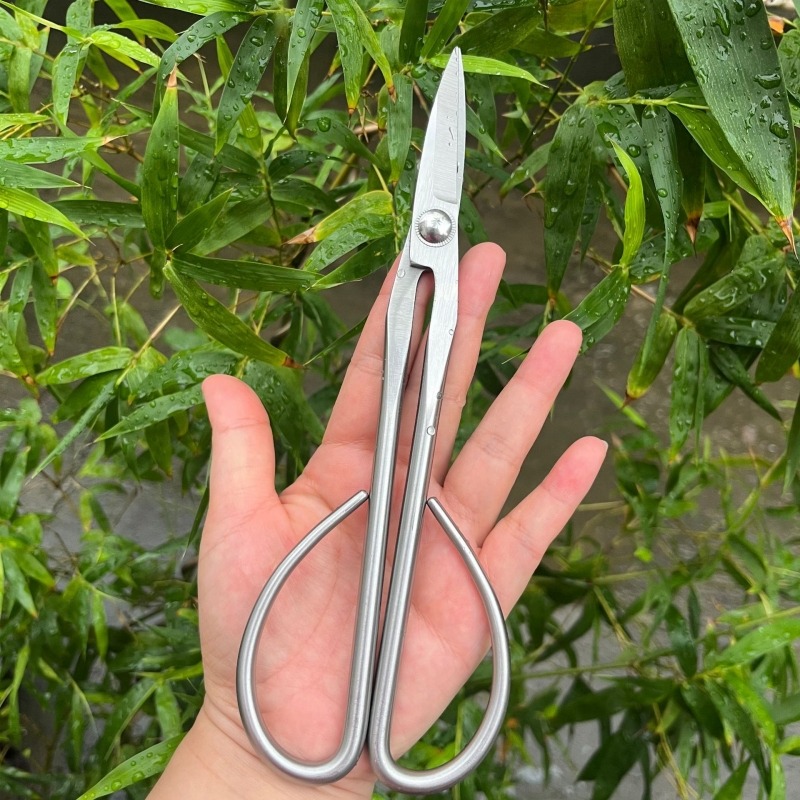 柔らかい葉用ハサミ 盆栽道具 枝切りハサミ 延長ステンレス鋼 - Gardening Tools Japanese のレビューと価格