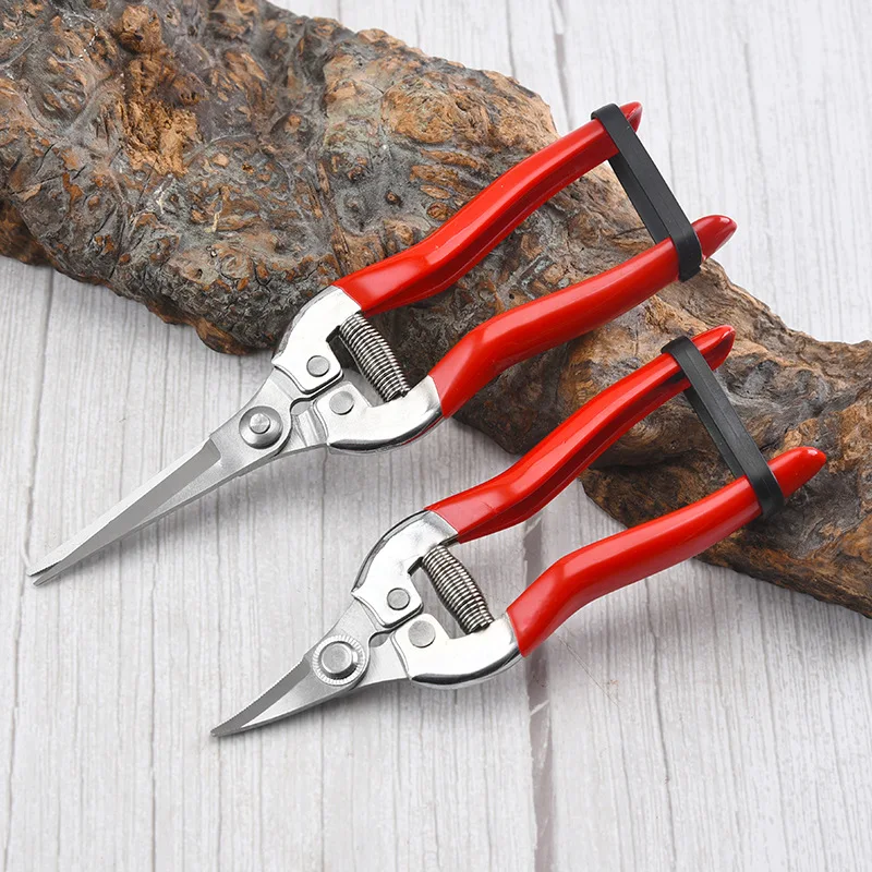 ステンレス鋼剪定はさみ園芸はさみ家庭用果物狩りブドウはさみ庭 - Gardening Tools Pink のレビューと価格