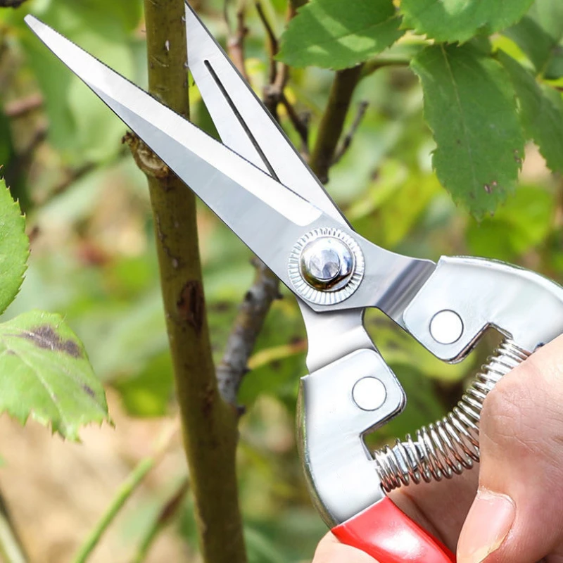 ステンレス鋼剪定はさみ園芸はさみ家庭用果物狩りブドウはさみ庭 - Gardening Tools Pink のレビューと価格
