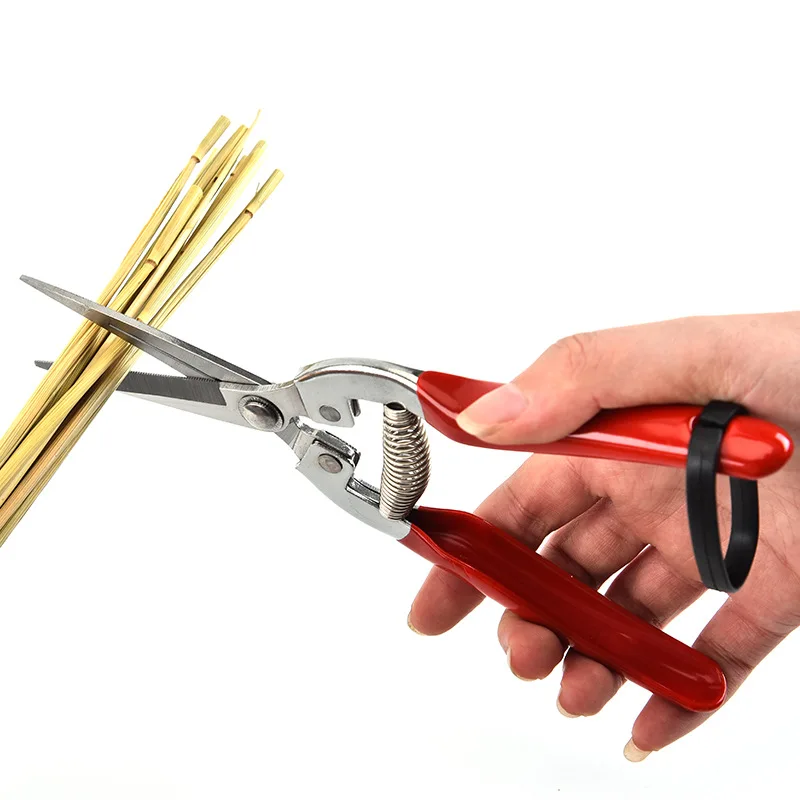 ステンレス鋼剪定はさみ園芸はさみ家庭用果物狩りブドウはさみ庭 - Gardening Tools Pink のレビューと価格