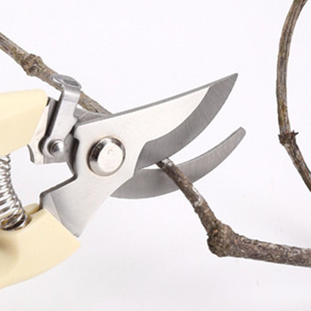 剪定鋏ハンドツール盆栽園芸用ステンレス鋼剪定鋏はさみ花枝草 - Gardening Tools Pink のレビューと価格