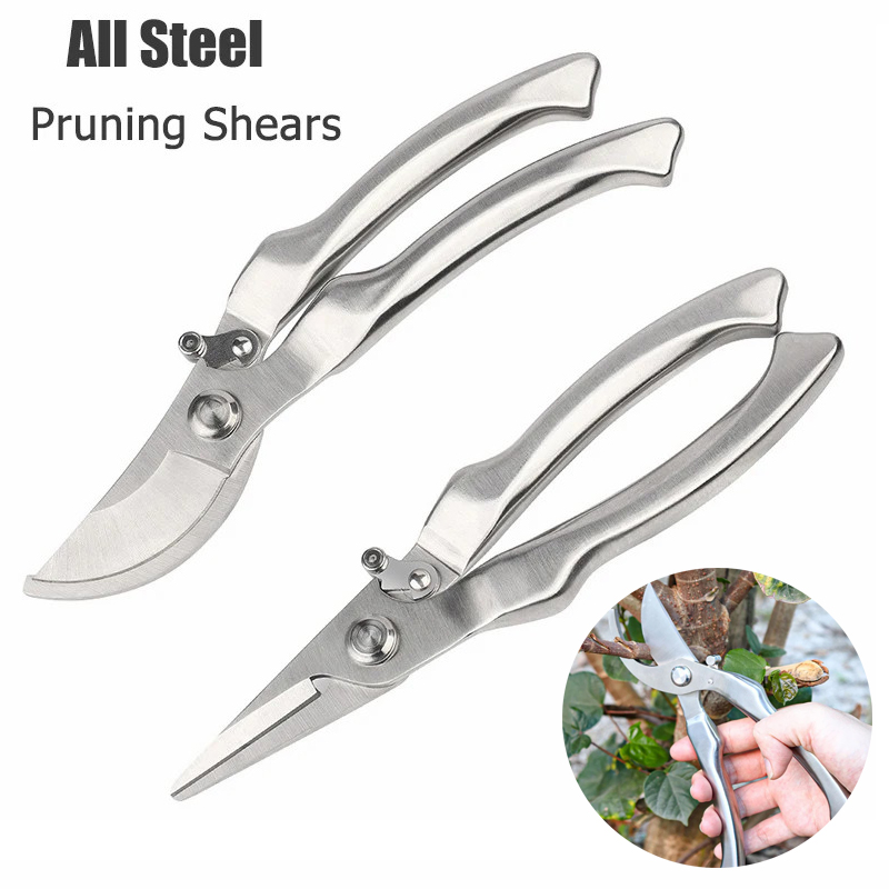 オールステンレス製のプロ用園芸剪定鋏、樹木の枝の剪定、果物の - Gardening Tools Japanese のレビューと価格