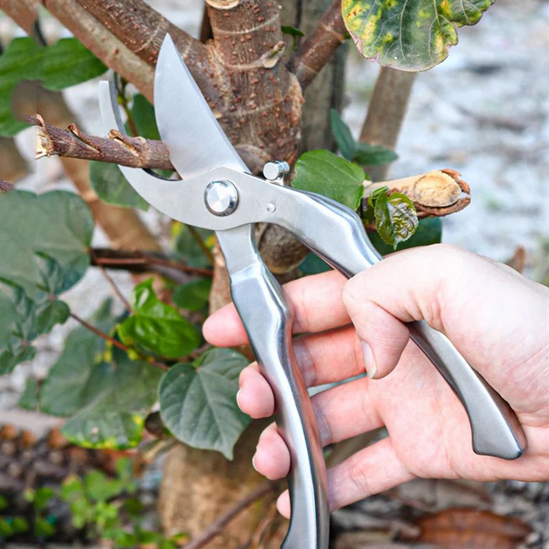 オールステンレス製のプロ用園芸剪定鋏、樹木の枝の剪定、果物の - Gardening Tools Japanese のレビューと価格