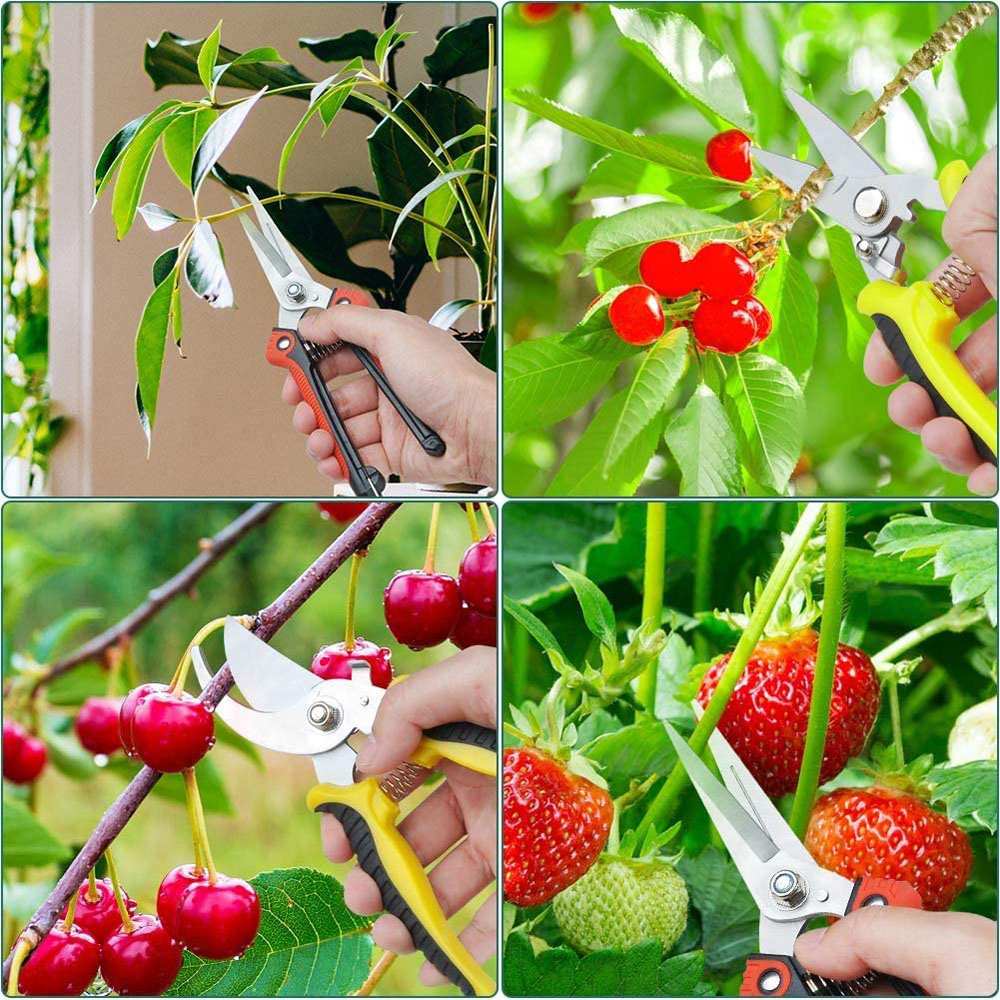 1個入り多機能園芸用ハサミ3点セット、家庭用剪定鋏、花用鋏、 - Gardening Tools Pink のレビューと価格